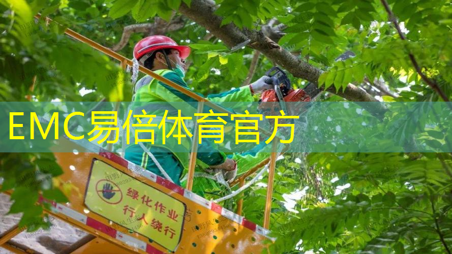 宁波政绿化工程有限公司