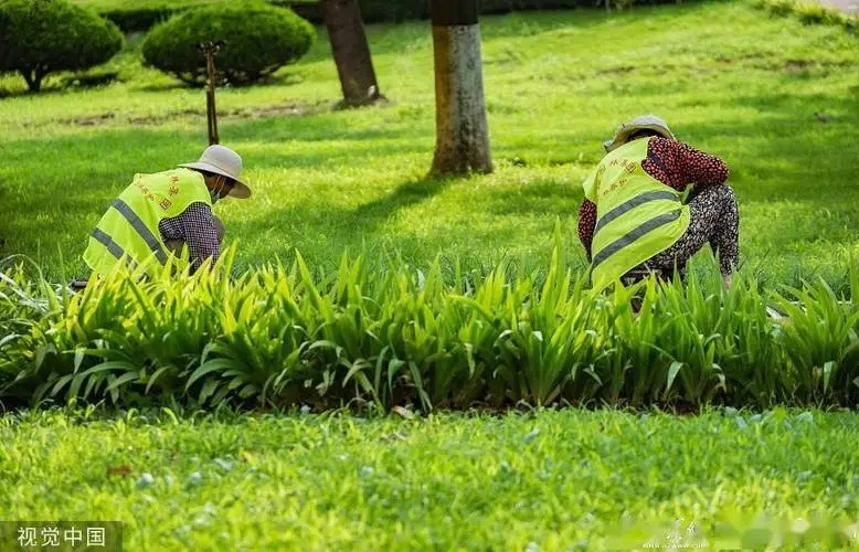 办公楼外园林景观设计