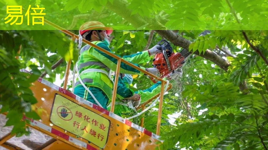 兴贤廊道绿化工程招标