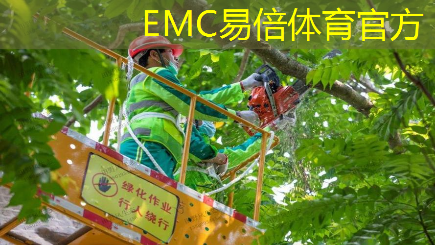 市政绿化工程工艺