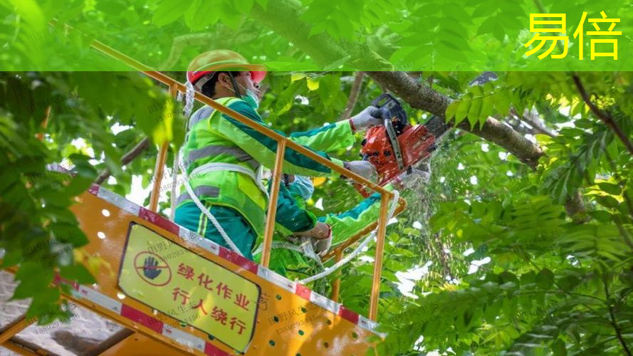 永城园林绿化工程施工规范