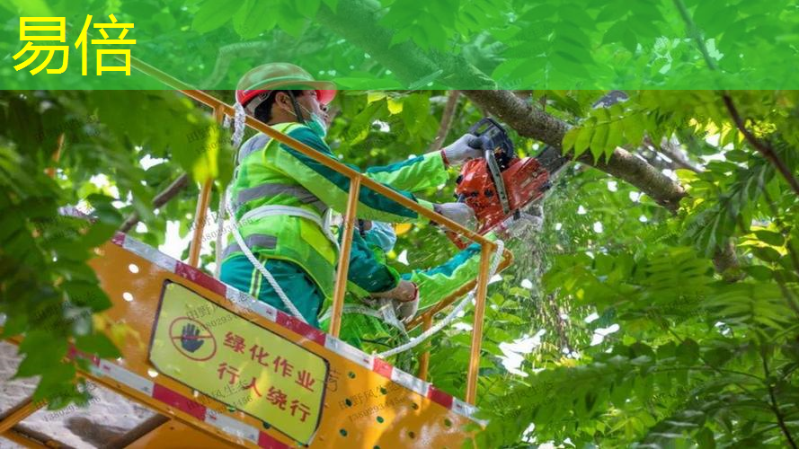 常熟绿化有限公司中山分公司
