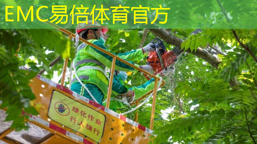 新世纪园林绿化工程