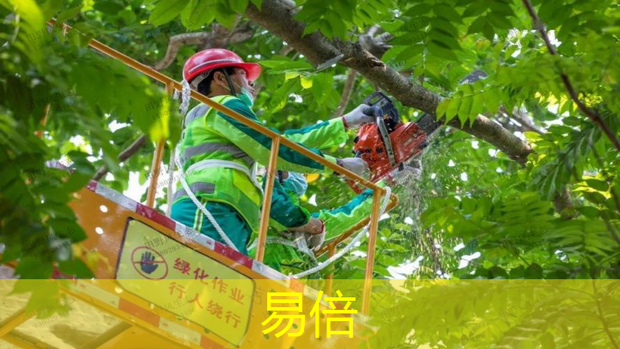 桐乡市政绿化工程经营范围