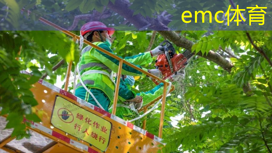 新安县神仙湾绿化工程