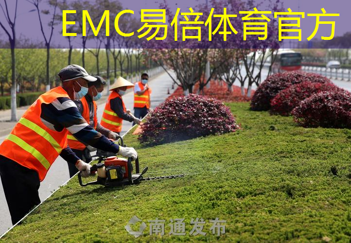 肥西正规绿化工程哪家好