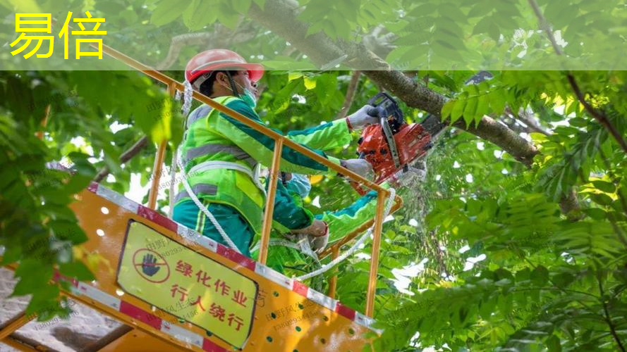 古典大型园林景观设计
