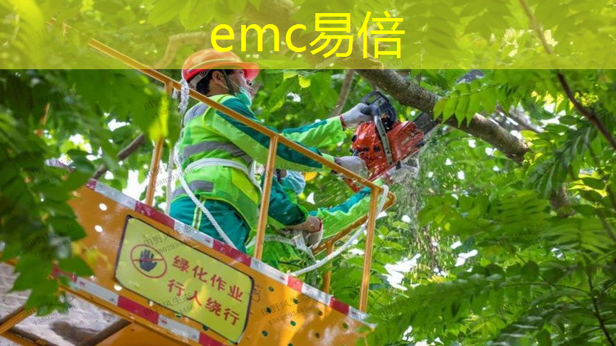 从实用技能到领导力：国企风景园林管理岗位重点考察哪些能力？
