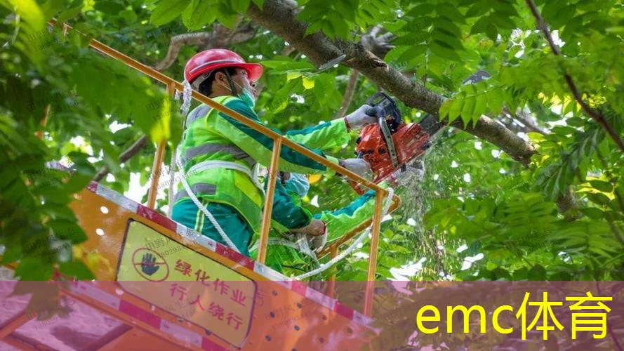 洪山区标准园林绿化工程