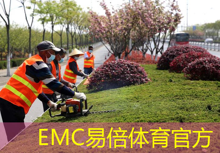 绿化工程造价预算定额是多少