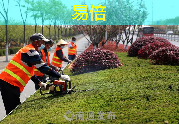 绿化工程点缀方案怎么写