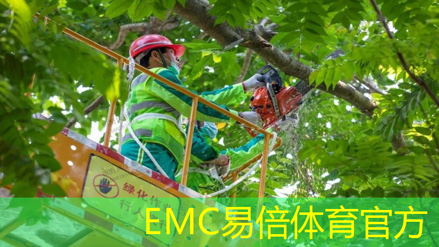别墅楼梯园林景观设计方案