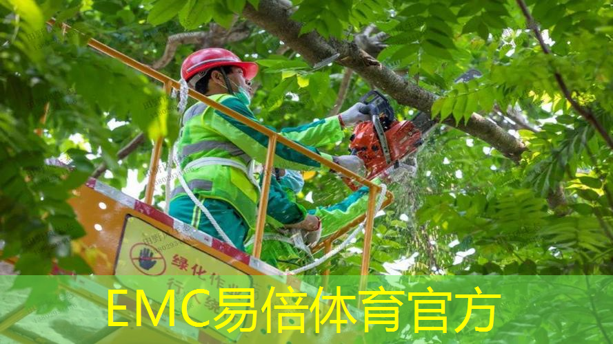 晋源区绿化工程质量保障