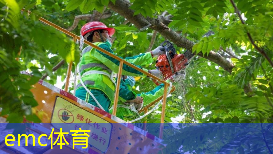 别墅园林景观设计350平