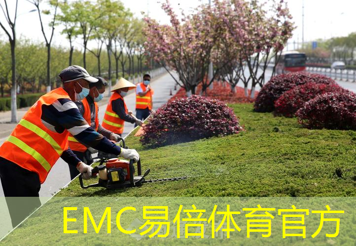 城市绿化陷入困境：探索市政园林管理的问题与解决之道