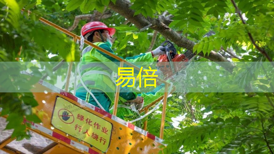 河南绿化工程种植基地