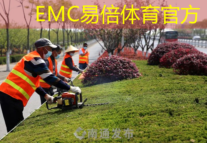 森林公园：当“大自然”遇上“网红打卡”，如何“吸粉无数”？