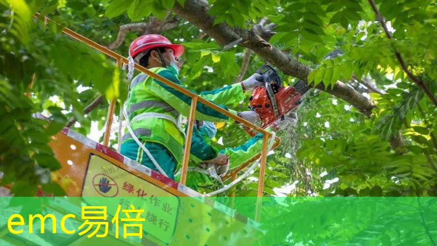 工业+文旅绘就山城新景 2025重庆老厂区打卡地图出炉